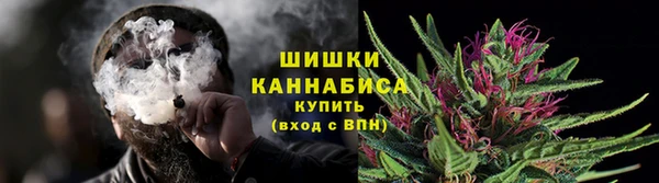 трава Няндома