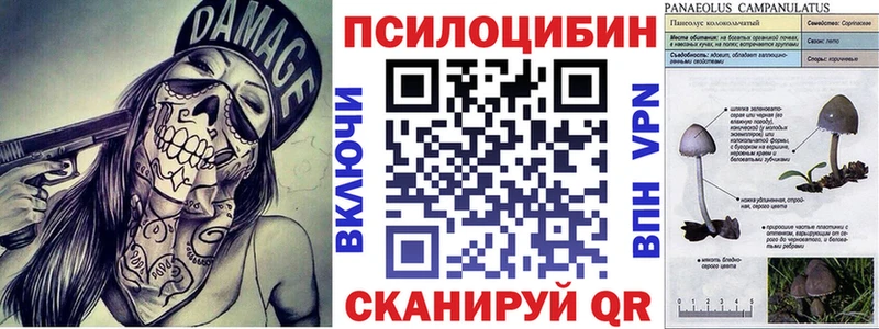 Галлюциногенные грибы Cubensis  Купить  Богородск 